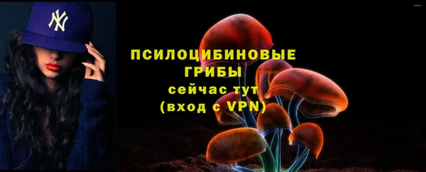 мяу мяу мука Арсеньев