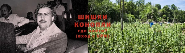 spice Пересвет